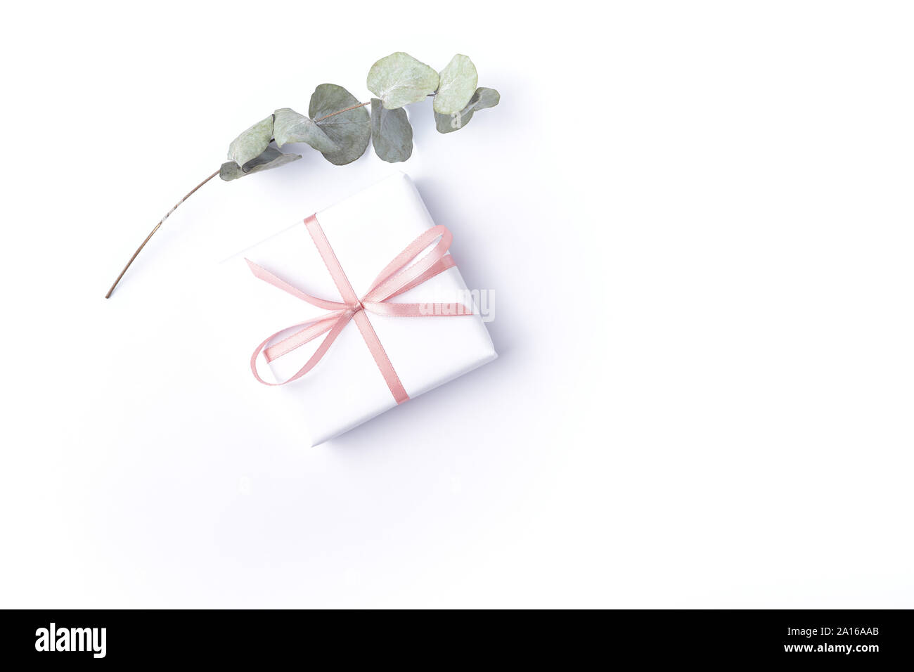 Scatola regalo bianca con nastro rosa e asciugare le foglie di eucalipto su sfondo bianco. Lay piatto. Spazio di copia Foto Stock