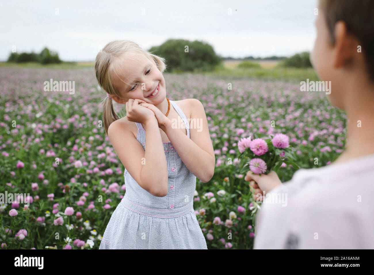 Ragazzo dando un chiodo di garofano fiori ragazza sorridente Foto Stock