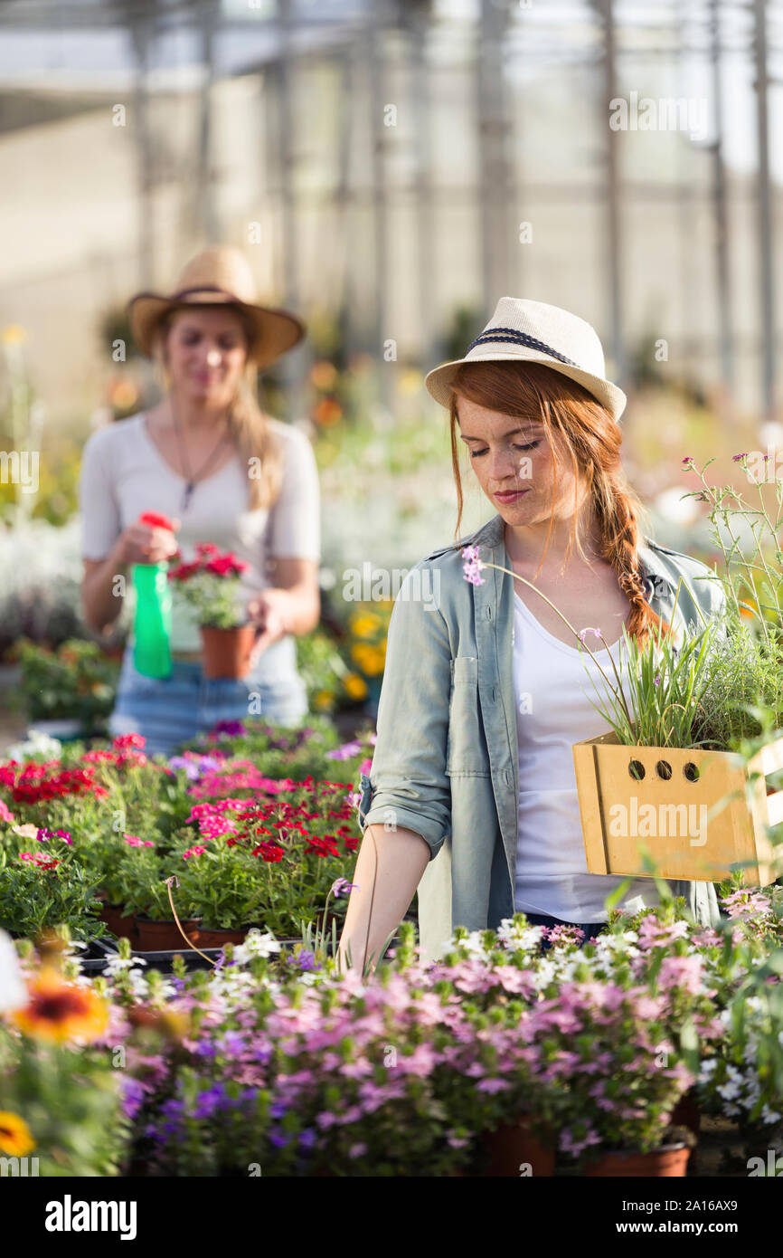 Due giovani donne di prendersi cura di piante e fiori in serra Foto Stock