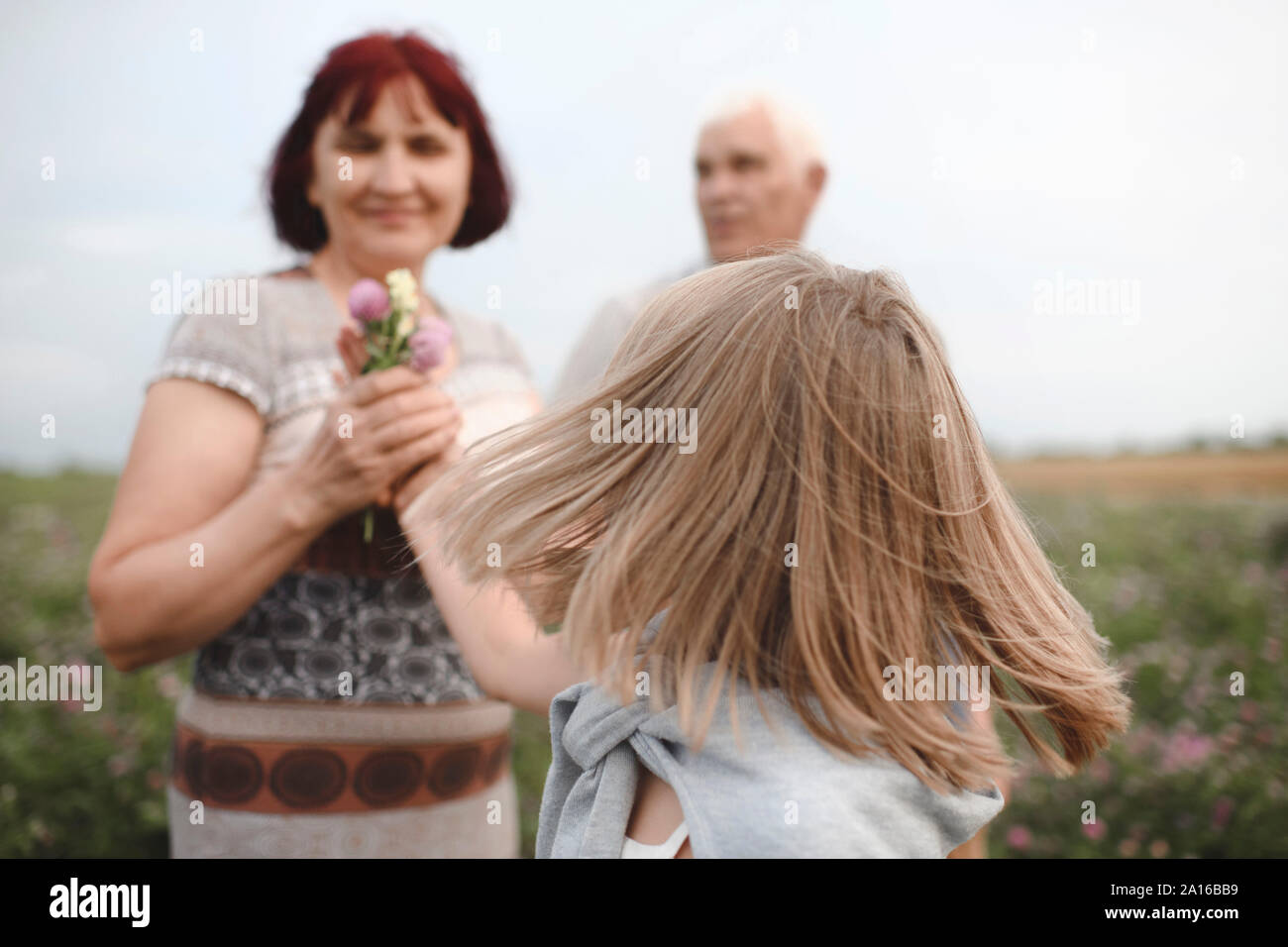 La bionda bambina dando ai fiori di sua nonna su un prato Foto Stock