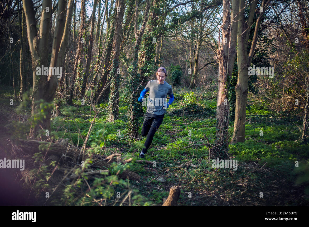 Giovane uomo jogging attraverso boschi Foto Stock
