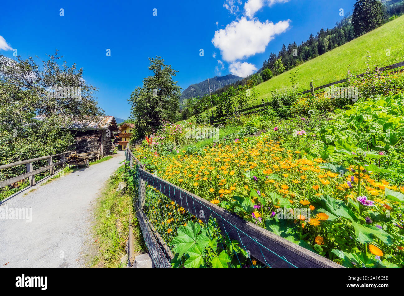 Salisburgo, Austria Membro, sentiero escursionistico tra Bad Hofgastein e Bad Gastein Foto Stock