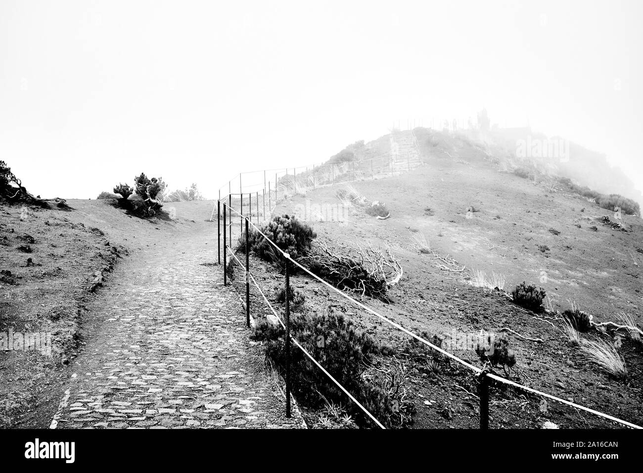 Creepy e inquietante scena in bianco e nero Foto Stock