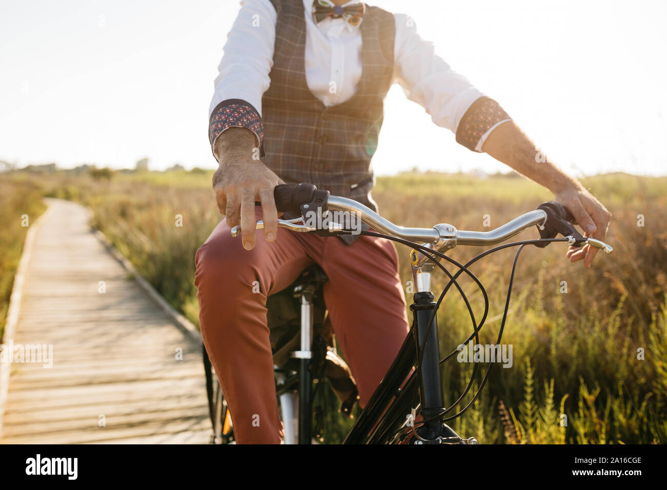 Ben vestito uomo con la sua bicicletta su una passerella di legno in campagna dopo il lavoro Foto Stock