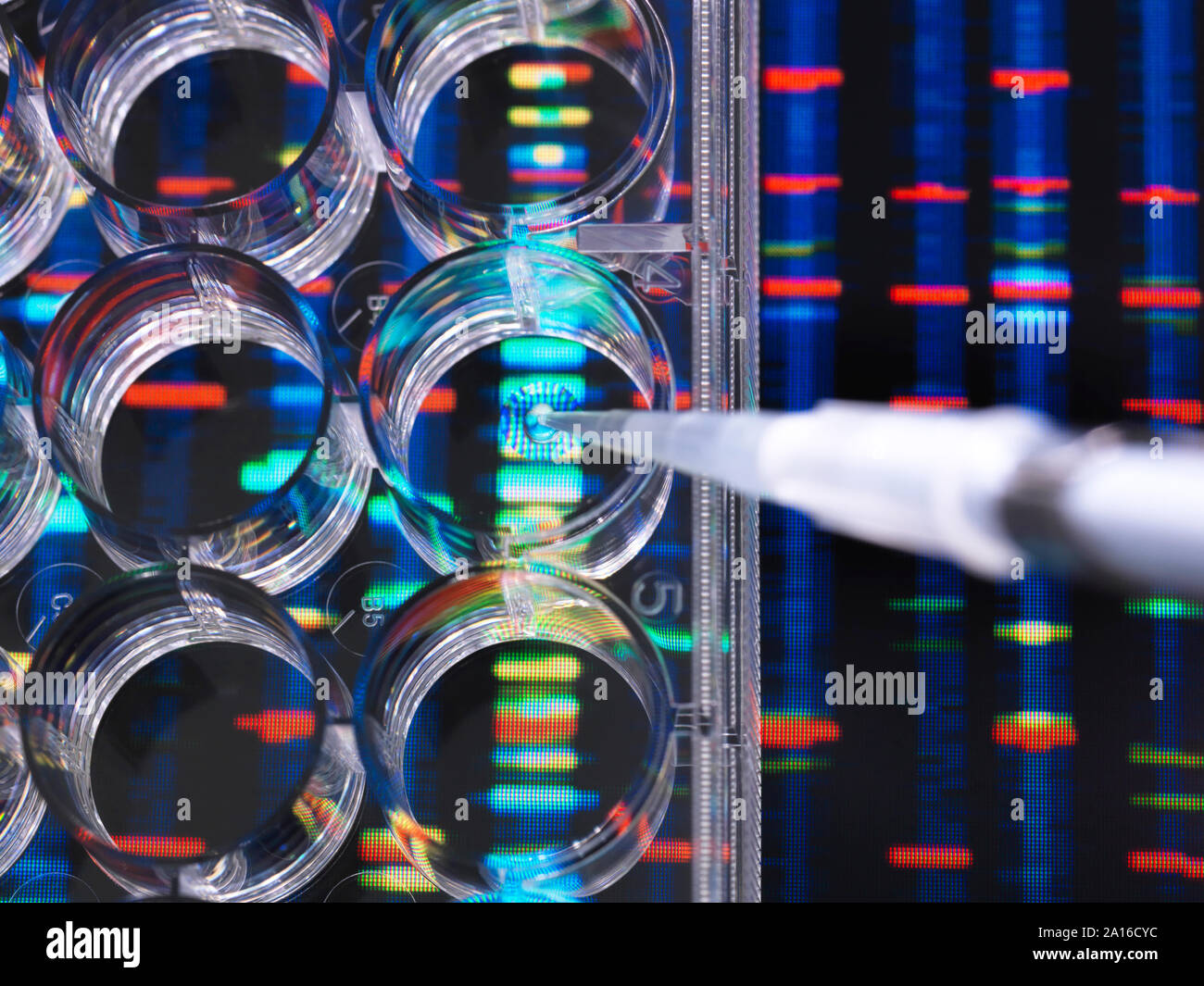 Ricerca di DNA, i campioni di DNA in un multi ben piatto pronto per l'analisi con DNA risultati in background Foto Stock