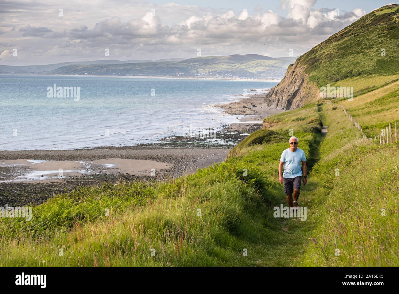 Un uomo che cammina twoards sud lungo il Galles sentiero costiero tra Borth e Aberystwyth, a Wallog, Ceredigion Cardigan Bay West Wales Foto Stock