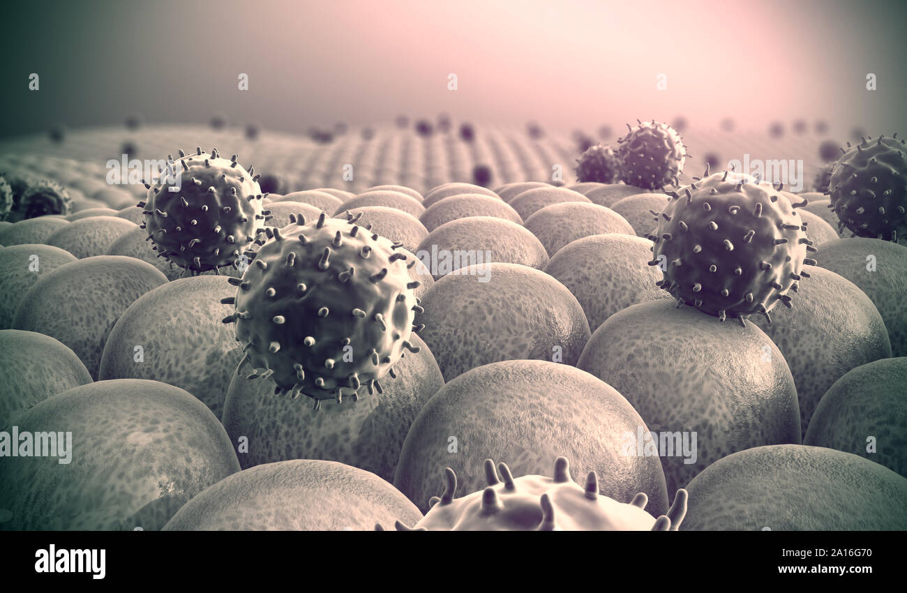 Campo di cellule, virus attaccano le cellule, azione del sistema immunitario umano Foto Stock