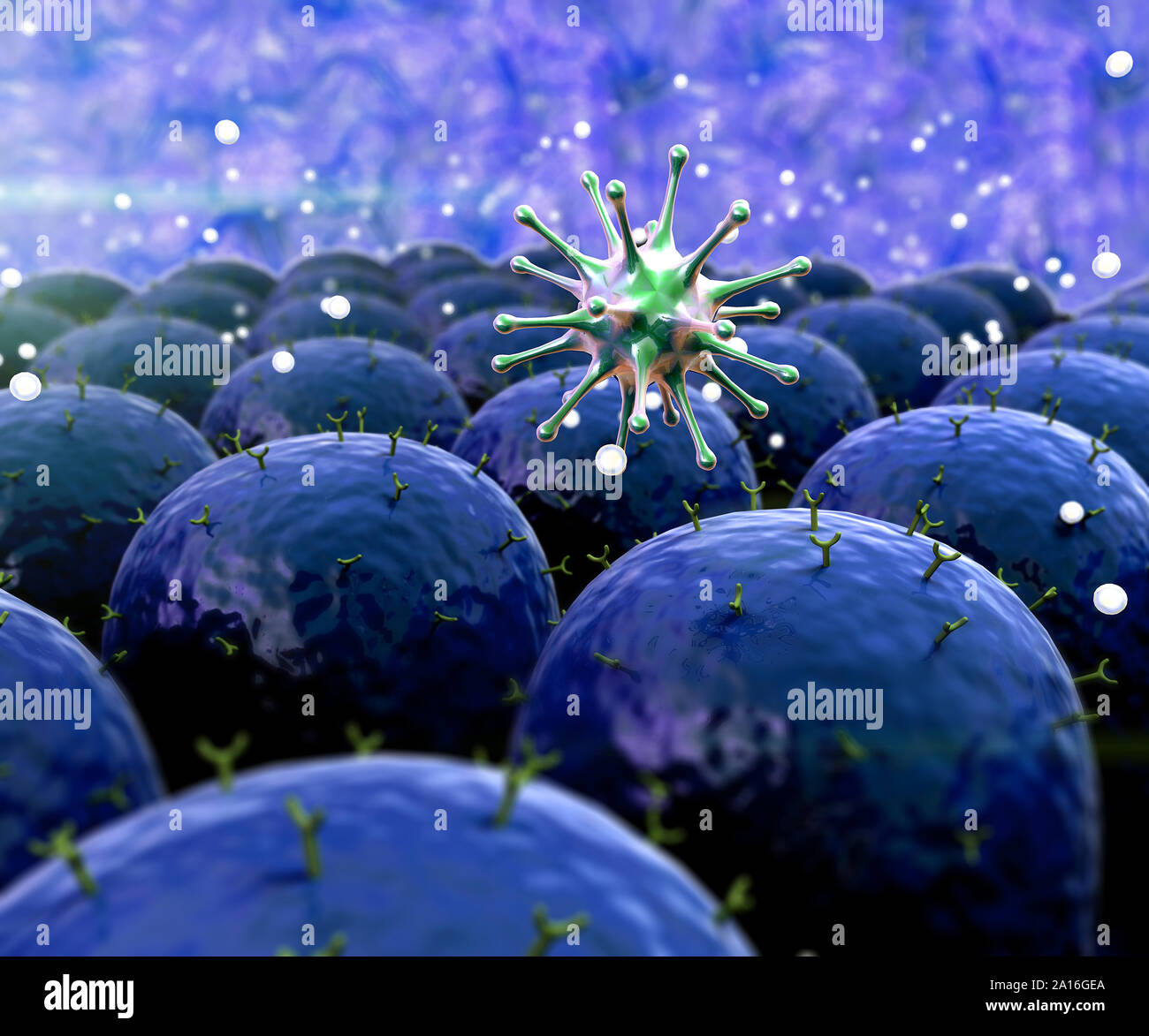 Campo di cellule con recettori, sistema immunitario umano l'attacco di virus, i leucociti attacco di virus Foto Stock