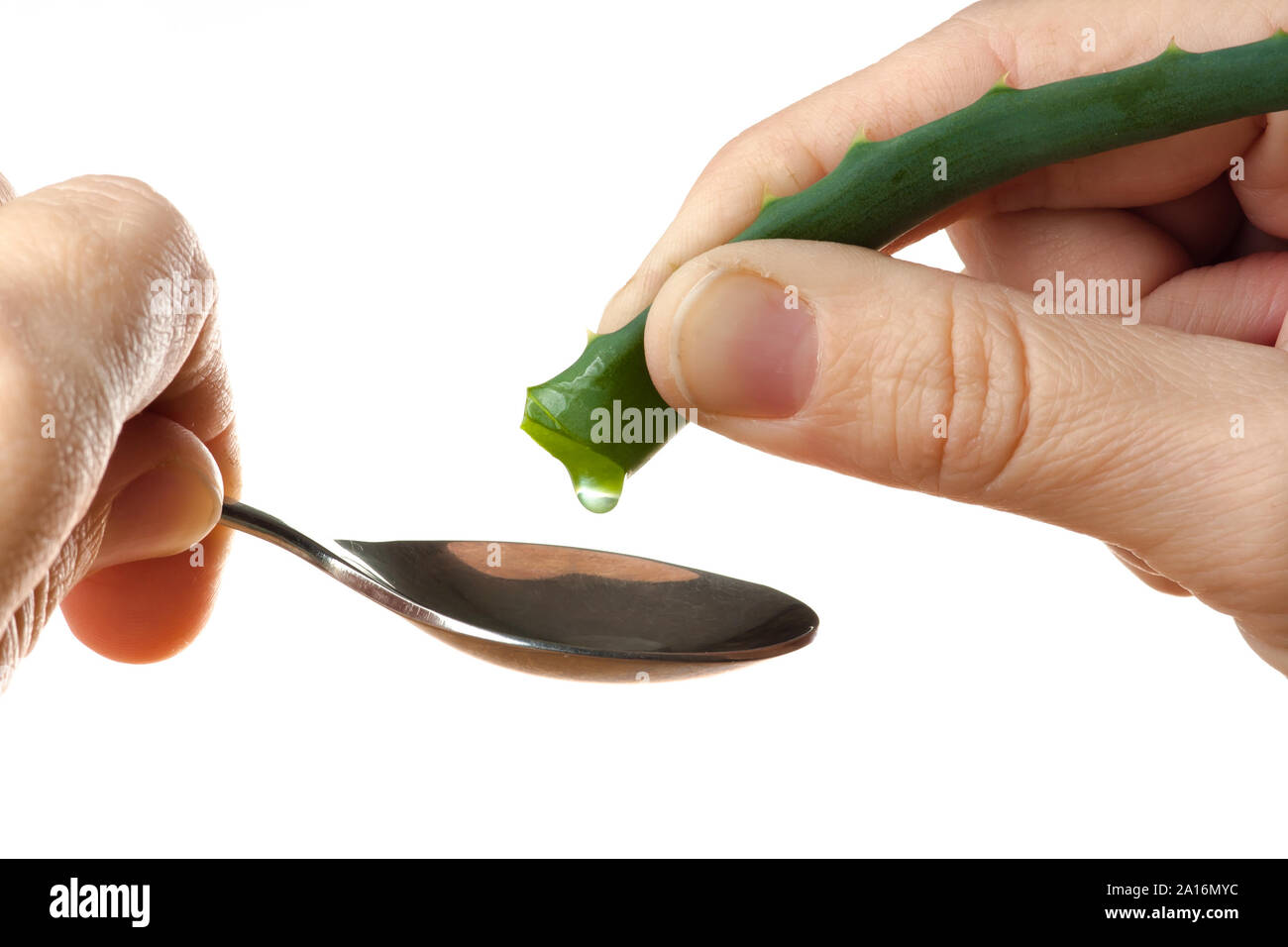 Mano spremendo il succo di frutta al di fuori di un'aloe vera in cucchiaio su sfondo bianco Foto Stock