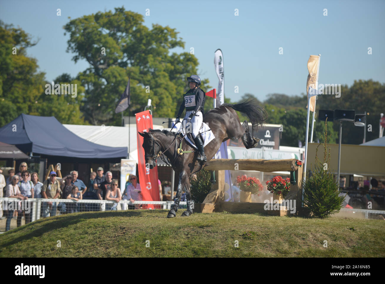 Piggy francese sul trifoglio Castletown, cross country fase della CCI-L4* concorrenza, Ssangyong Blenheim Palace Horse Trials 2019, il Palazzo di Blenheim, boschi Foto Stock Piggy francese sul trifoglio Castletown, cross country fase della CCI-L4* concorrenza, Ssangyong Blenheim Palace Horse Trials 2019, il Palazzo di Blenheim, boschi Foto Stock
