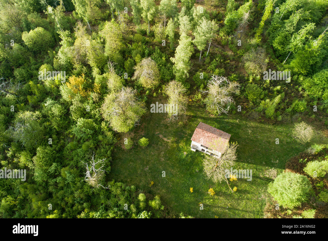Antenna vista superiore di una piccola casa nel bosco Foto Stock