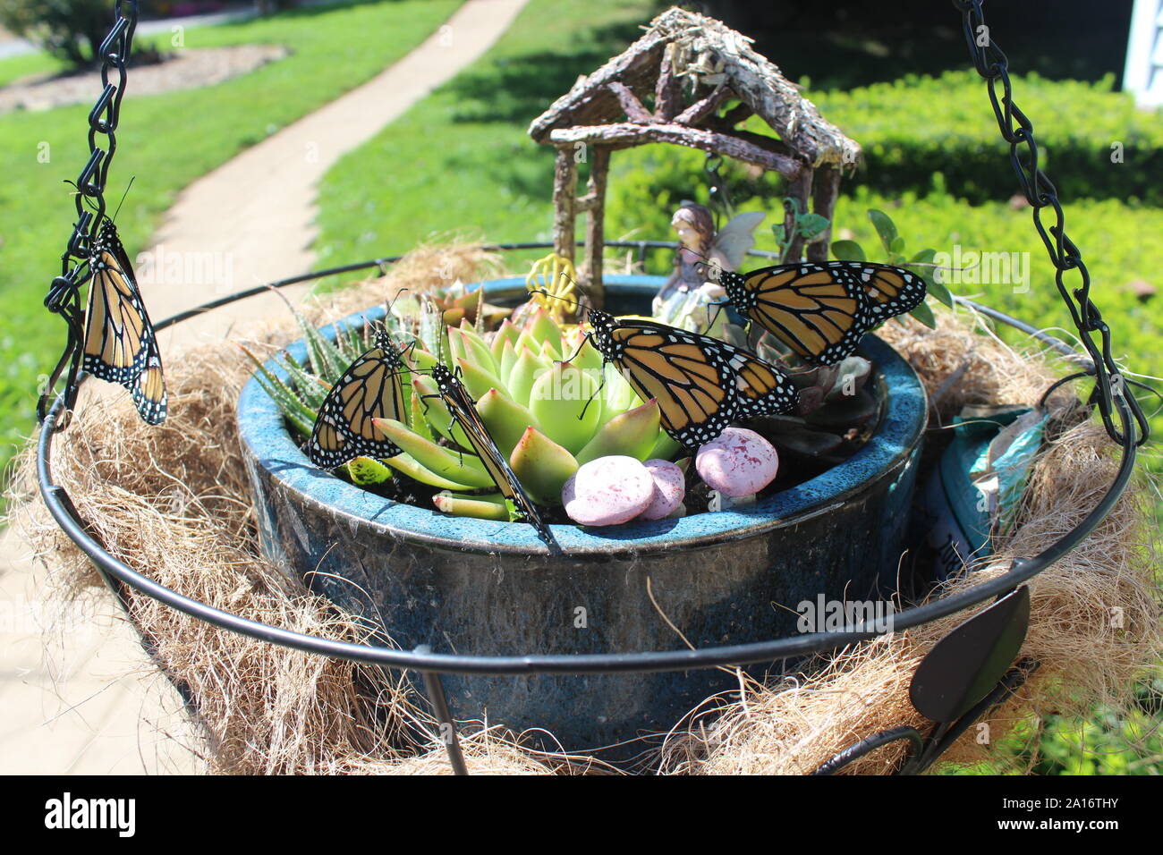 Piccola Fata in miniatura giardino con piante succulente, House, e fiabesco e farfalle Foto Stock