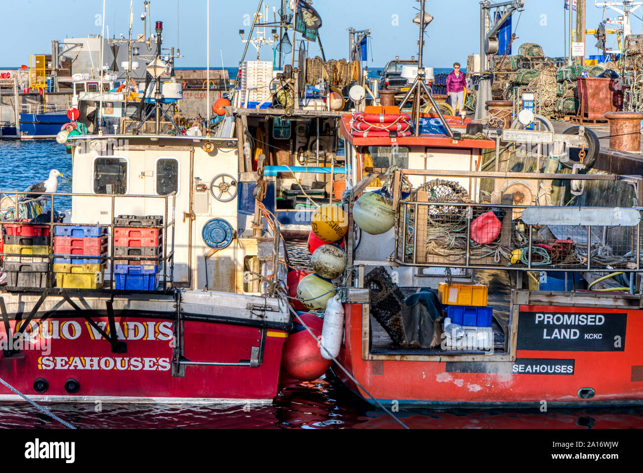 Quo Vadis e la terra promessa, due barche da pesca nel porto di Seahouses, Northumberland, Regno Unito Foto Stock