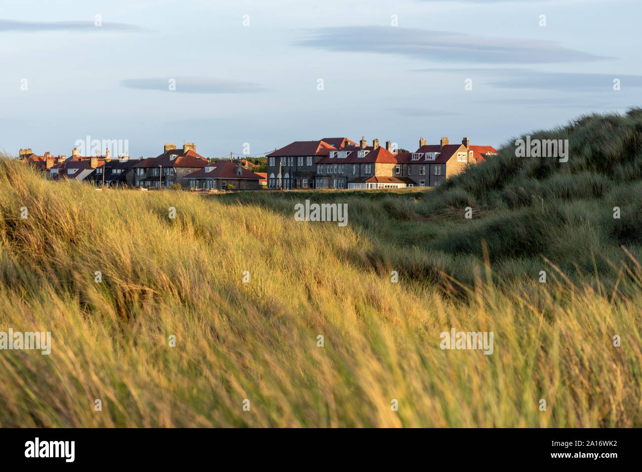 Ricoperto di erba dune di sabbia, Seahouses, Northumberland, Regno Unito Foto Stock