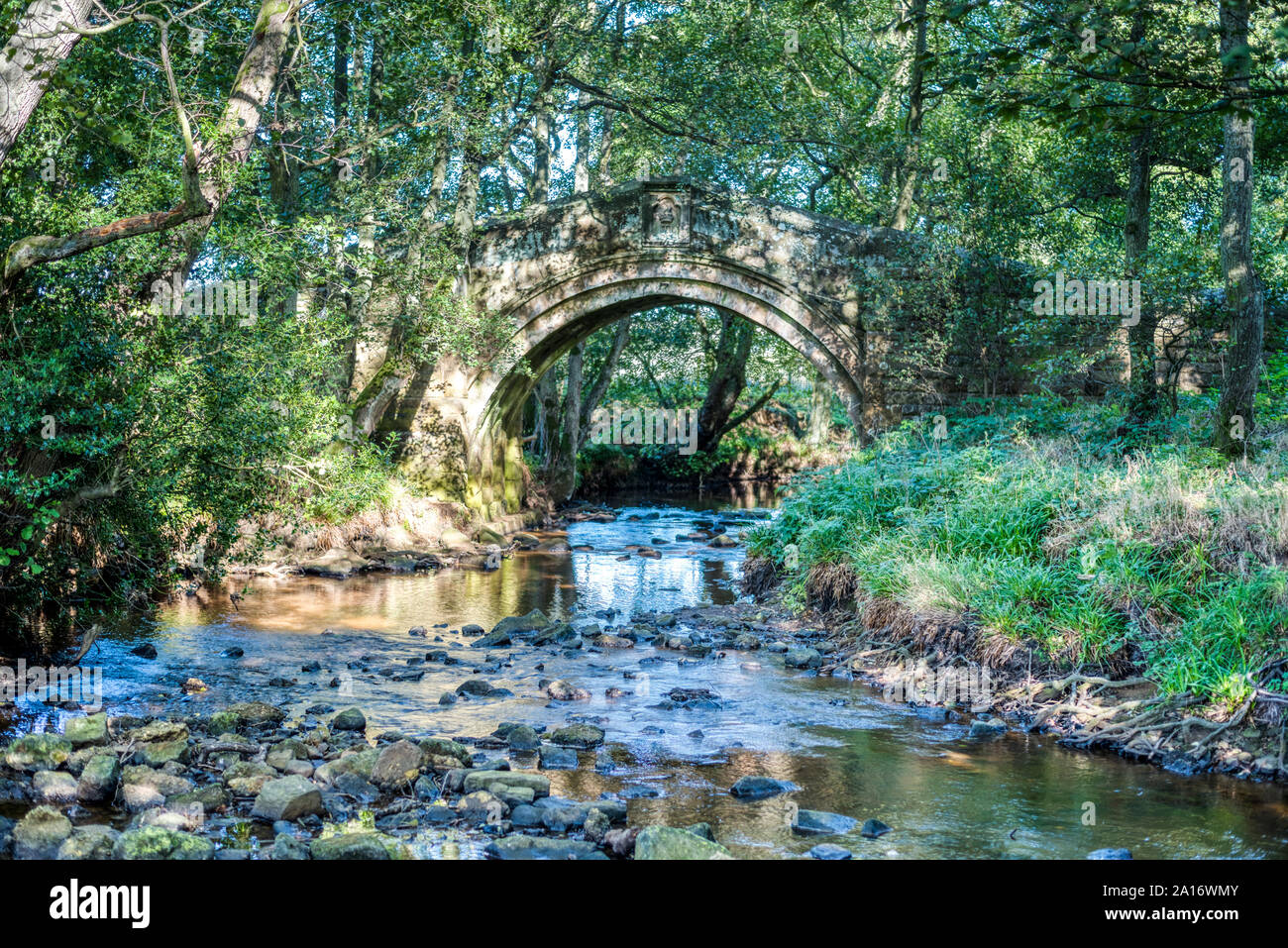 Il cacciatore Sty Bridge, un ponte medievale sul fiume Esk, Westerdale, North Yorkshire Moors, Regno Unito Foto Stock