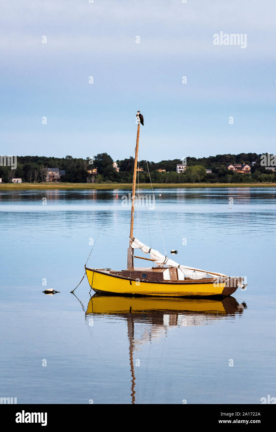 Osprey appollaiato sul montante di una piccola barca a vela, Wellfleet, Cape Cod, Massachusetts, STATI UNITI D'AMERICA. Foto Stock