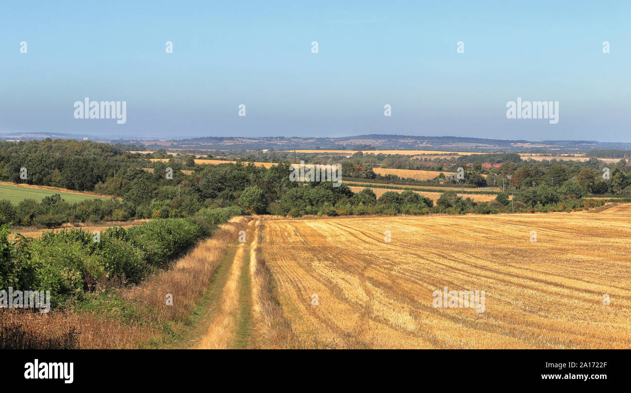 Un inglese un paesaggio rurale nella Chiltern Hills con campi di grano dorati stoppia Foto Stock