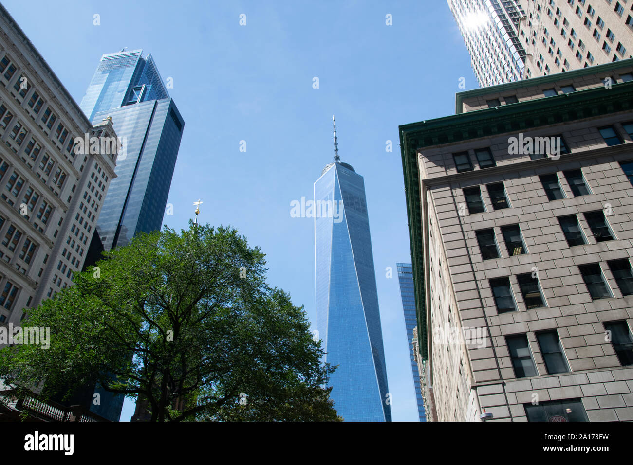 In primo piano un albero verde e sullo sfondo la One World Trade Center è svettante in aria, Manhattan, il Quartiere Finanziario di New York City, Stati Uniti d'America Foto Stock