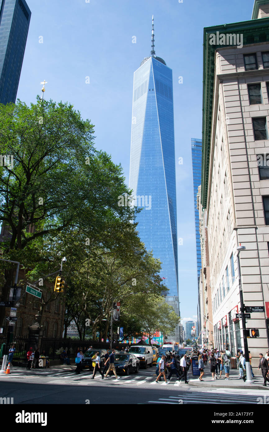 In primo piano un albero verde e sullo sfondo la One World Trade Center è svettante in aria, Manhattan, il Quartiere Finanziario di New York City, Stati Uniti d'America Foto Stock