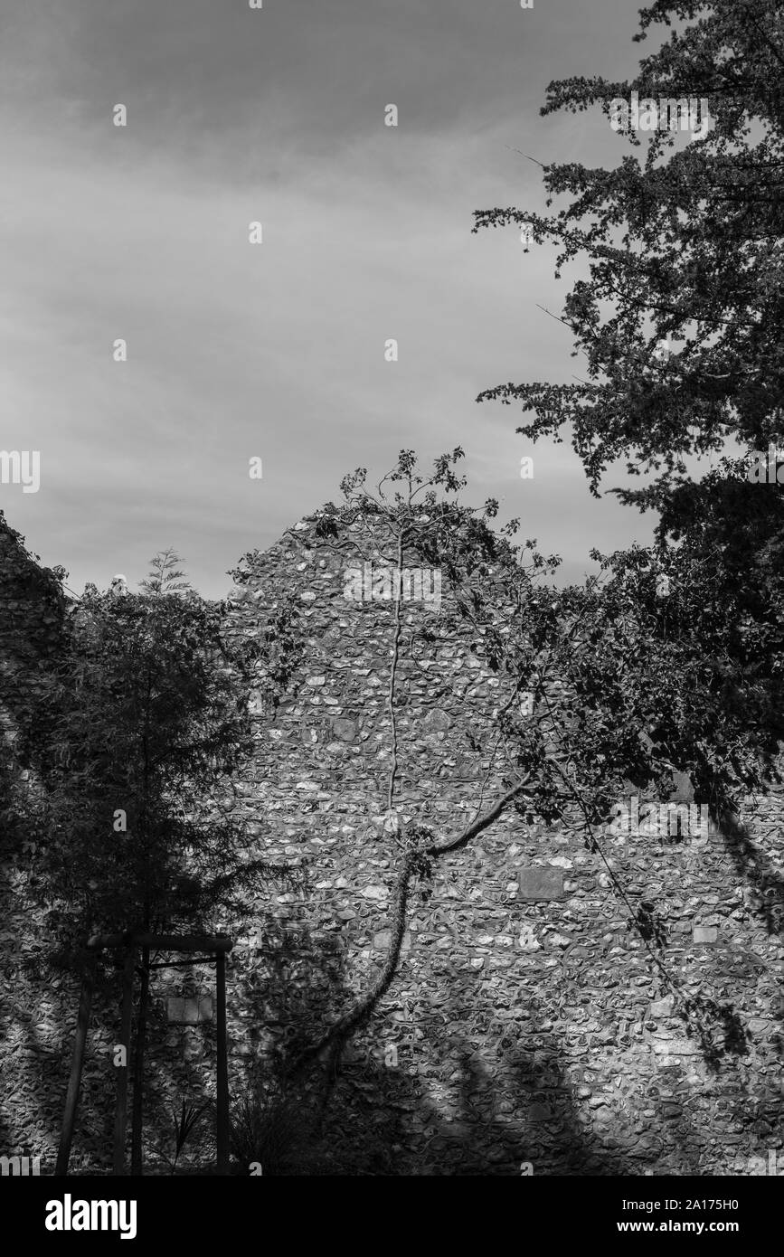 L'ancora in piedi la città orientale di pareti di Winchester, Hants Foto Stock