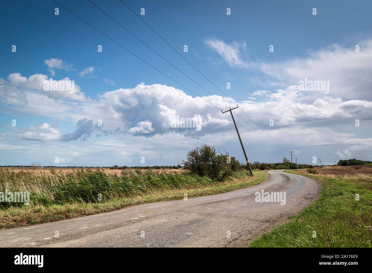 Una strada con inclinazione pali del telegrafo avvolgimento attraverso l'isola di Sheppy campagna verso traghetto Harty, Kent, Inghilterra. 19 agosto 2019 Foto Stock