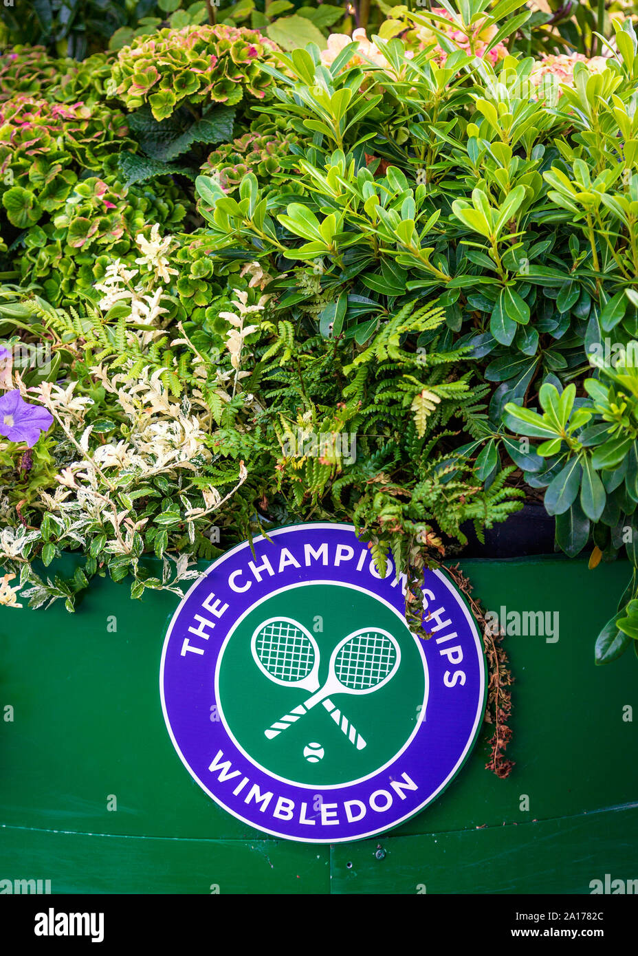 Motivi di tutti England Lawn Tennis Club, Wimbledon, Londra. Foto Stock