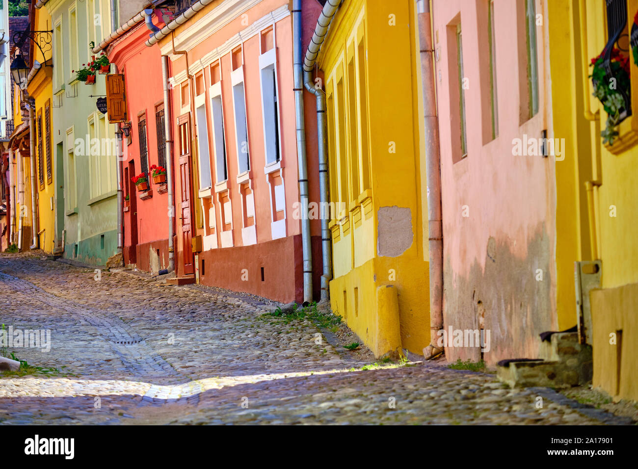 Un lato della strada di coloratissimi conserve di facciate di case con strada acciottolata in salita in cittadella di Sighisoara, Romania. Sighisoara, Romania - Foto Stock