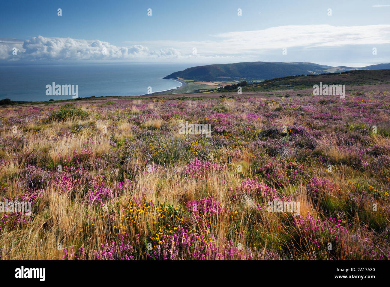 Vista da Porlock comune su Porlock Bay. Parco Nazionale di Exmoor. Somerset. Regno Unito. Foto Stock