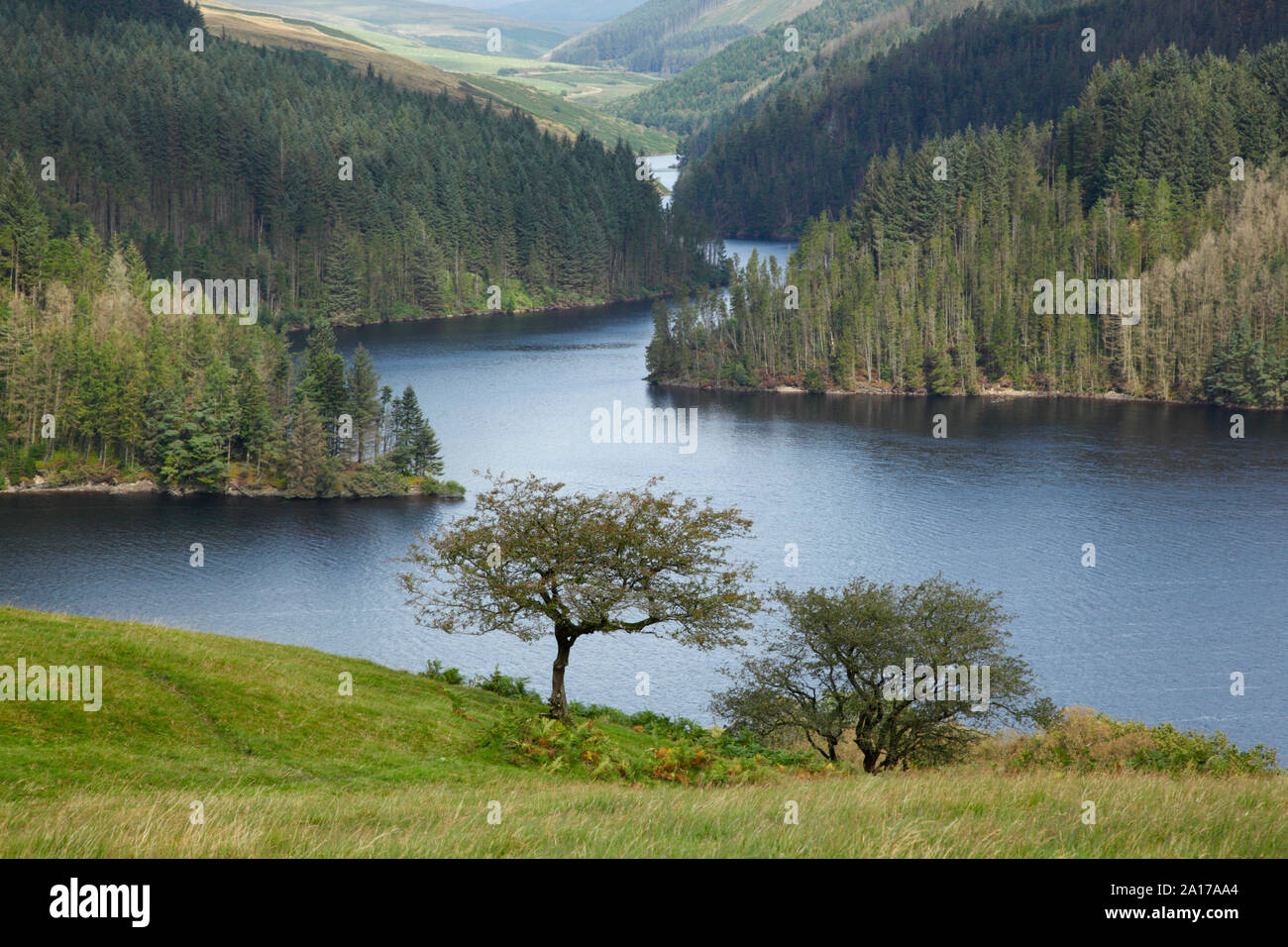 Llyn Brianne. Ceredigion. Il Galles. Regno Unito. Foto Stock