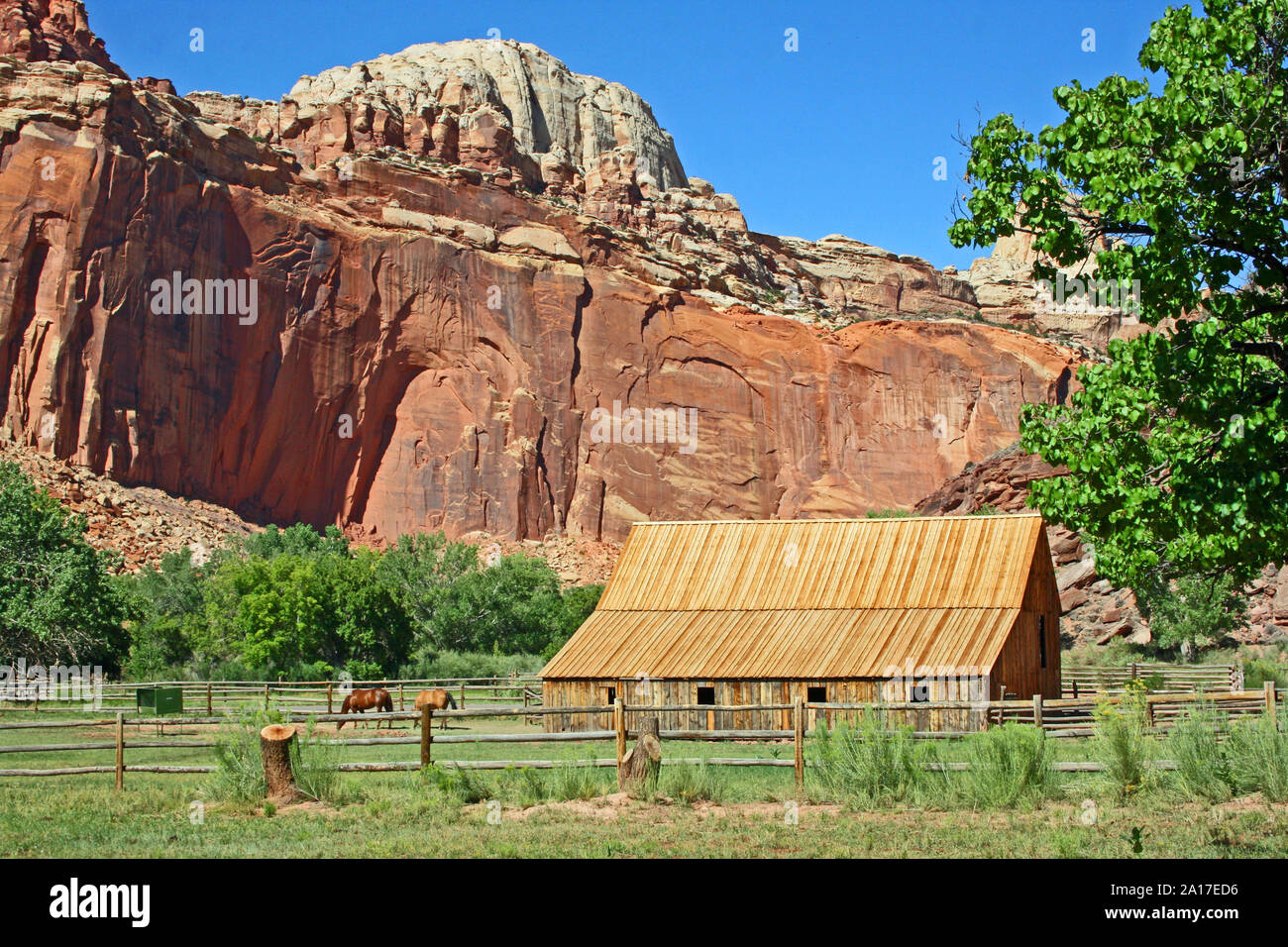 Red Cliff, granaio in legno e cavalli - Capitol Reef NP, Utah Foto Stock