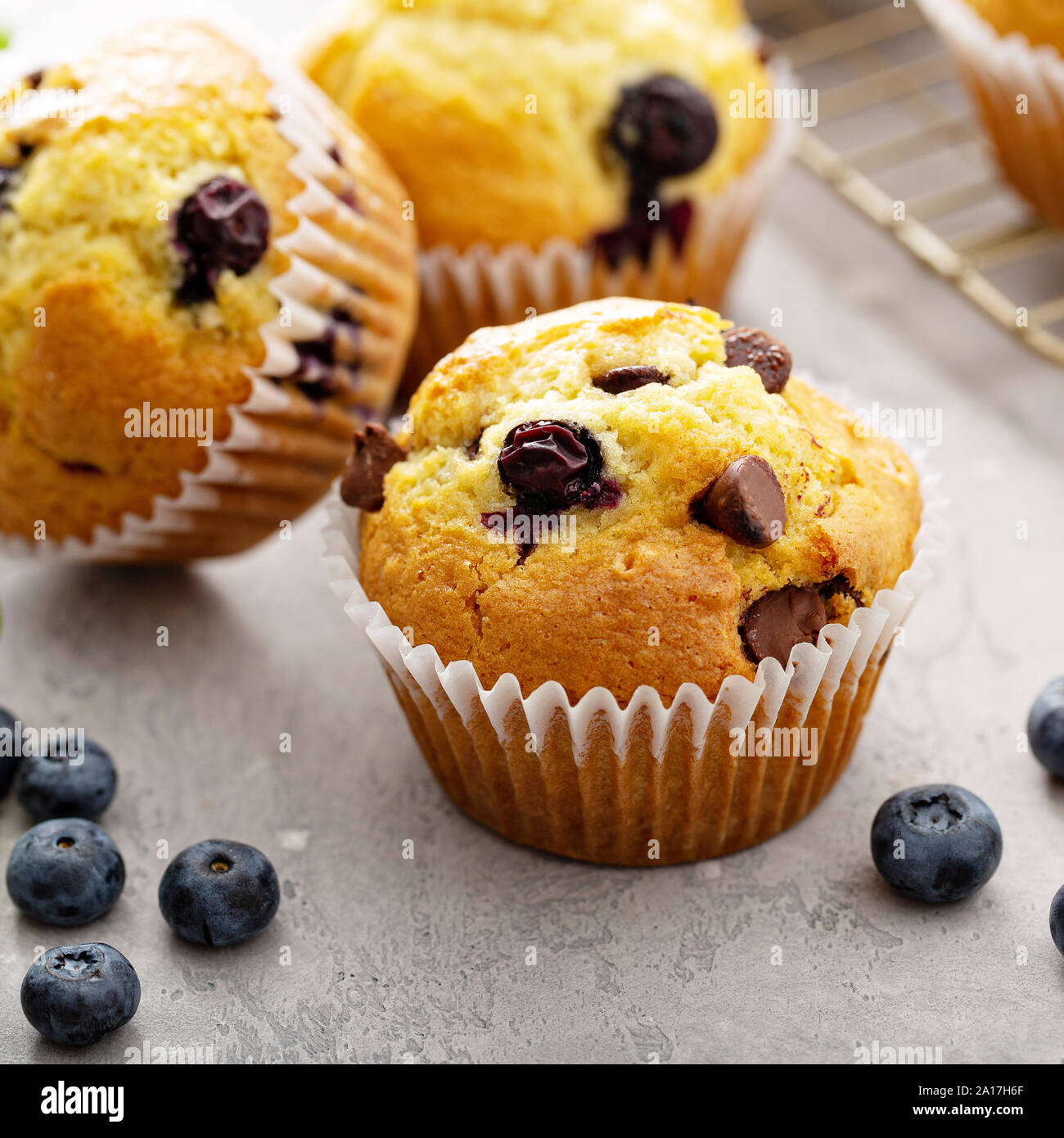 Chocolate Chip e muffin ai mirtilli con latte Foto Stock