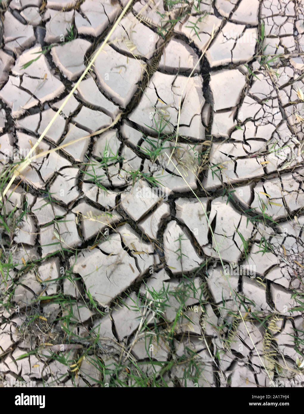 Asciutto terra rotto dopo una lunga estate calda con poca pioggia Foto Stock