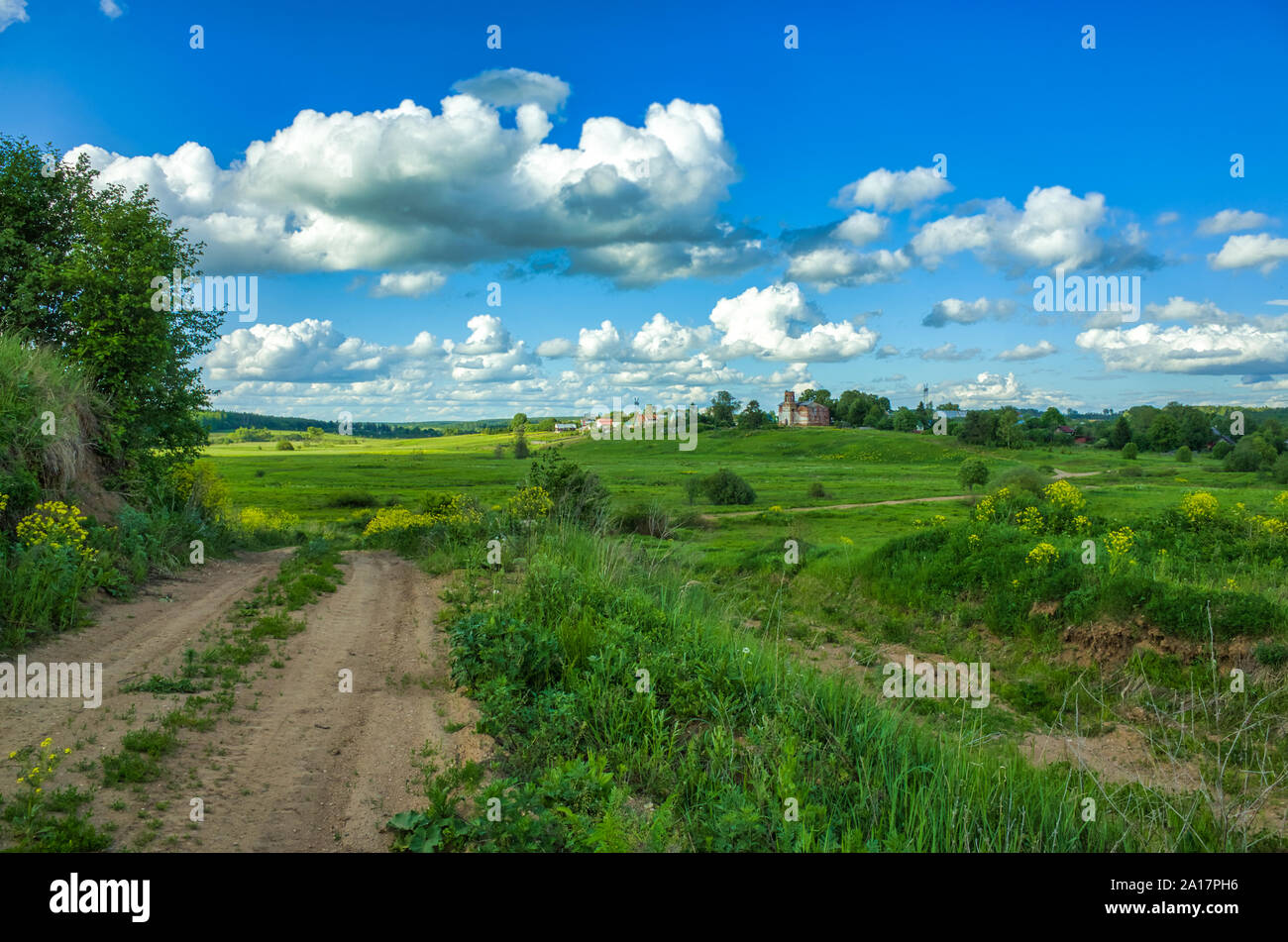 Giornata di sole, cielo sereno, prati e vegetazione. La natura in estate. Aleksino villaggio nella regione di Vladimir, Russia Foto Stock