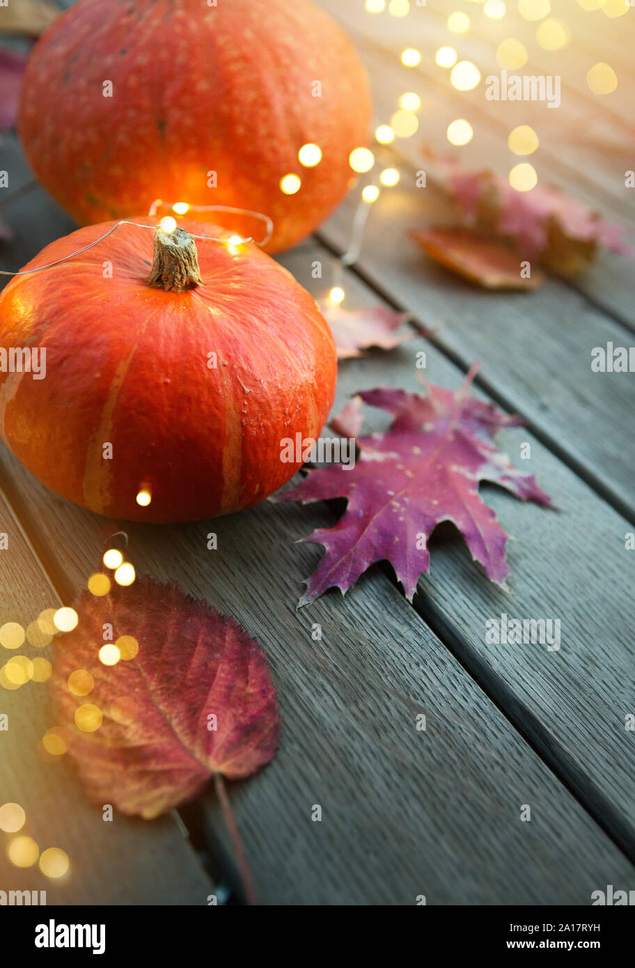 Per la festa del Ringraziamento di sfondo di partito, autunno di zucca e vacanze decorazione luminosa Foto Stock