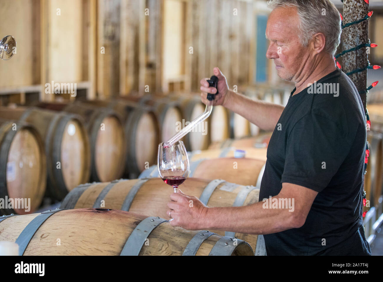 Enologo utilizza una pipetta di versare il campione un bicchiere di vino da degustare il test Foto Stock