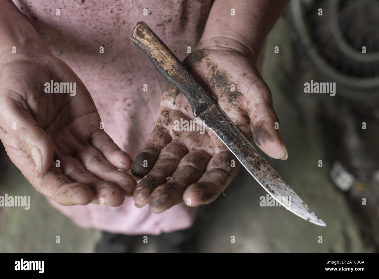 Artigiano mostra le sue mani con liana resina e un coltello dopo il lavoro Foto Stock