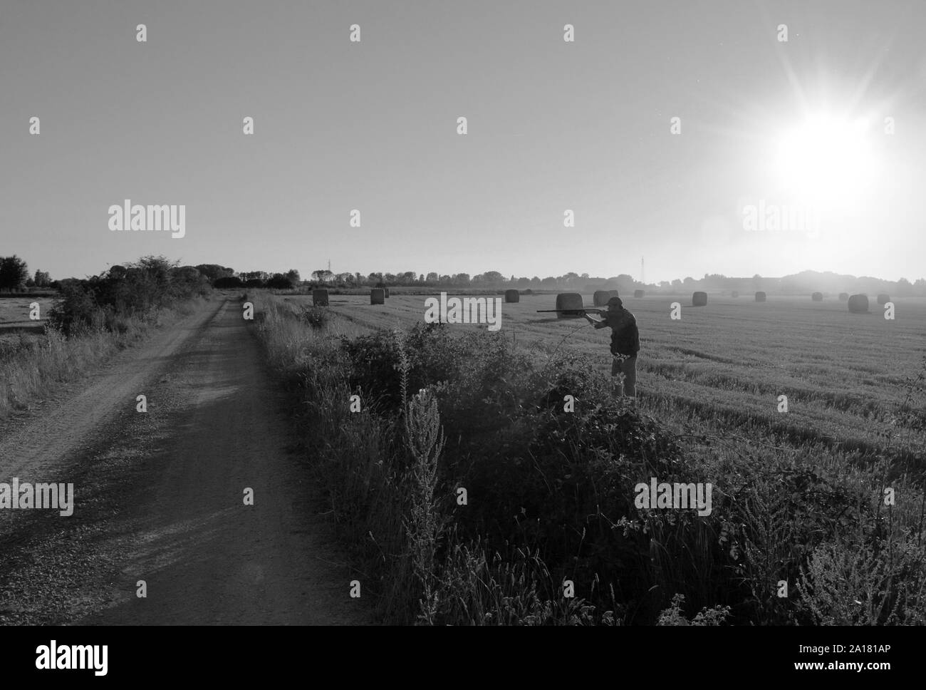 Un cacciatore la caccia con un fucile da caccia Foto Stock