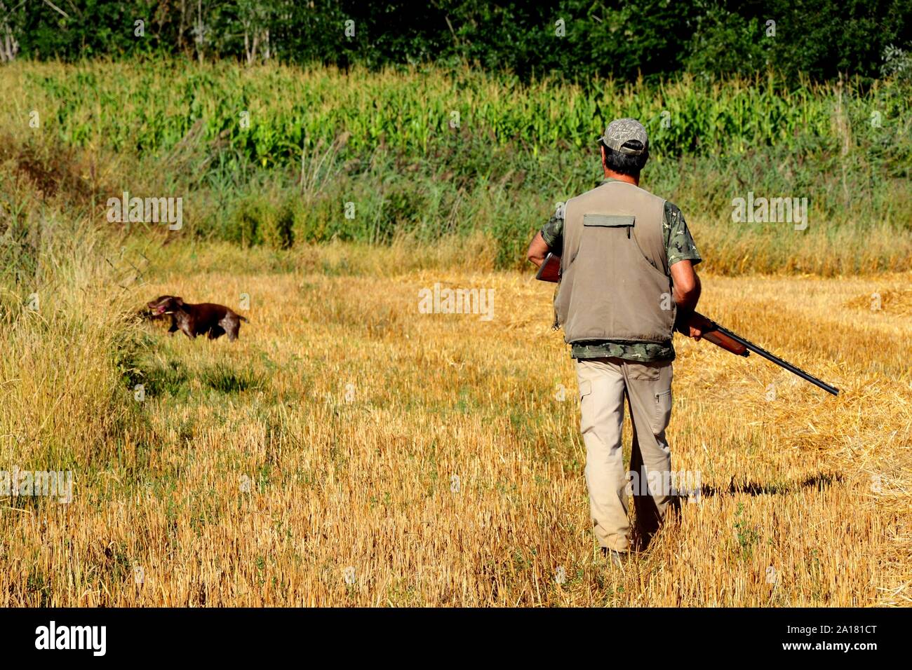 Cacciatore con cane Foto Stock