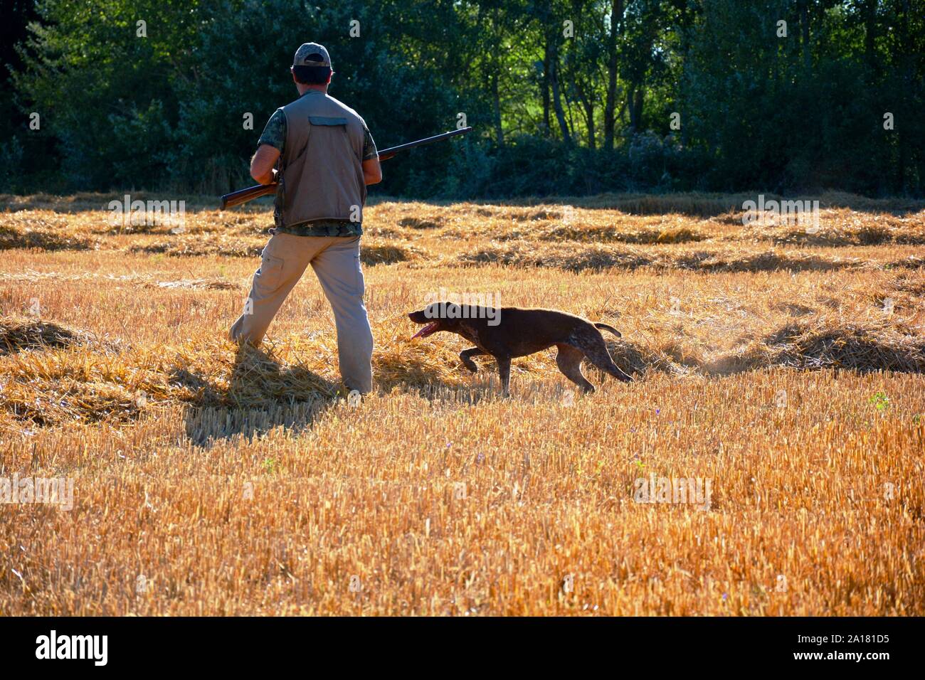 Cacciatore con cane Foto Stock