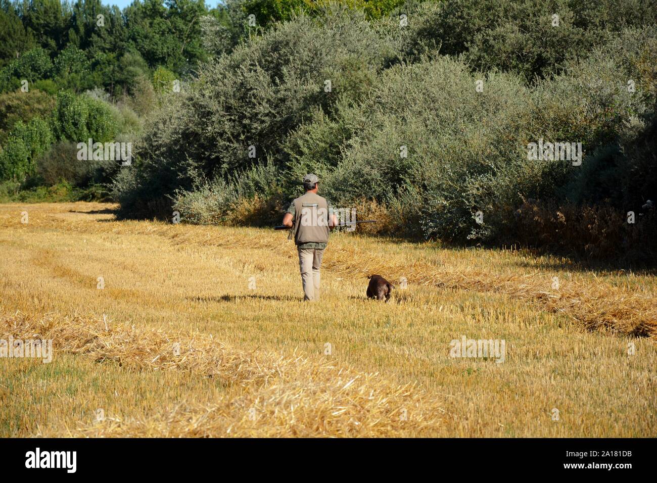 Cacciatore con cane Foto Stock