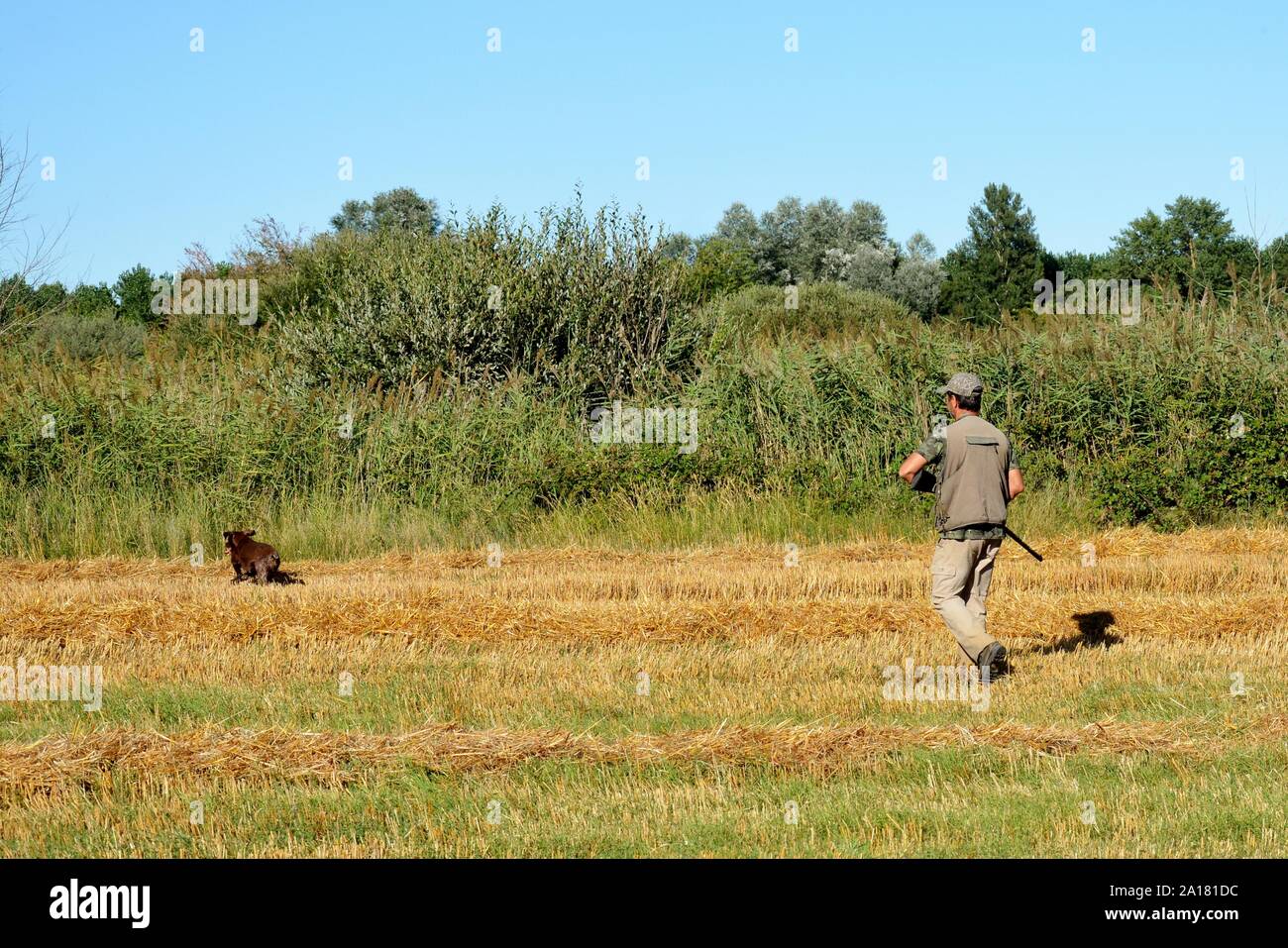 Cacciatore con cane Foto Stock