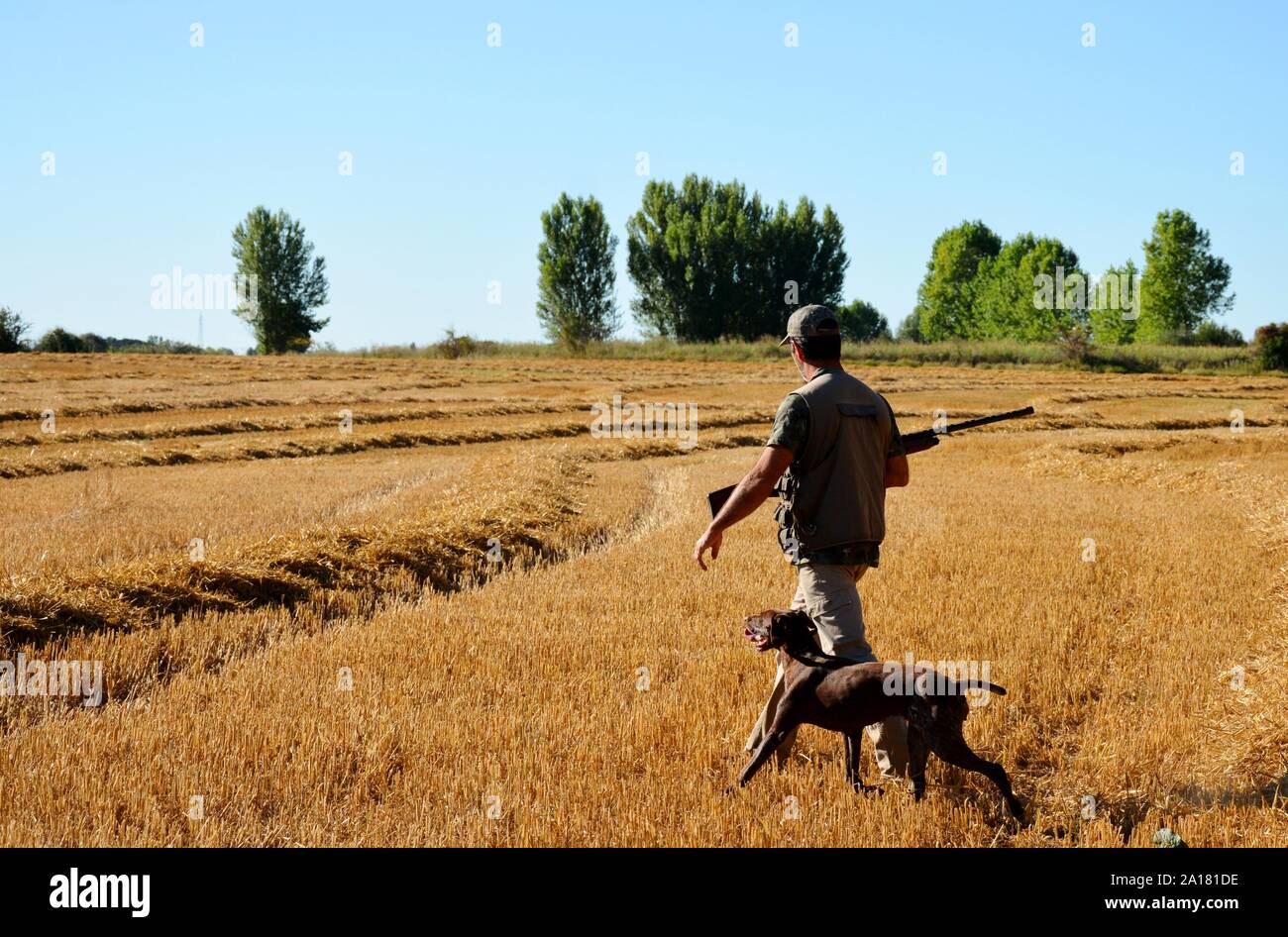 Cacciatore con cane Foto Stock