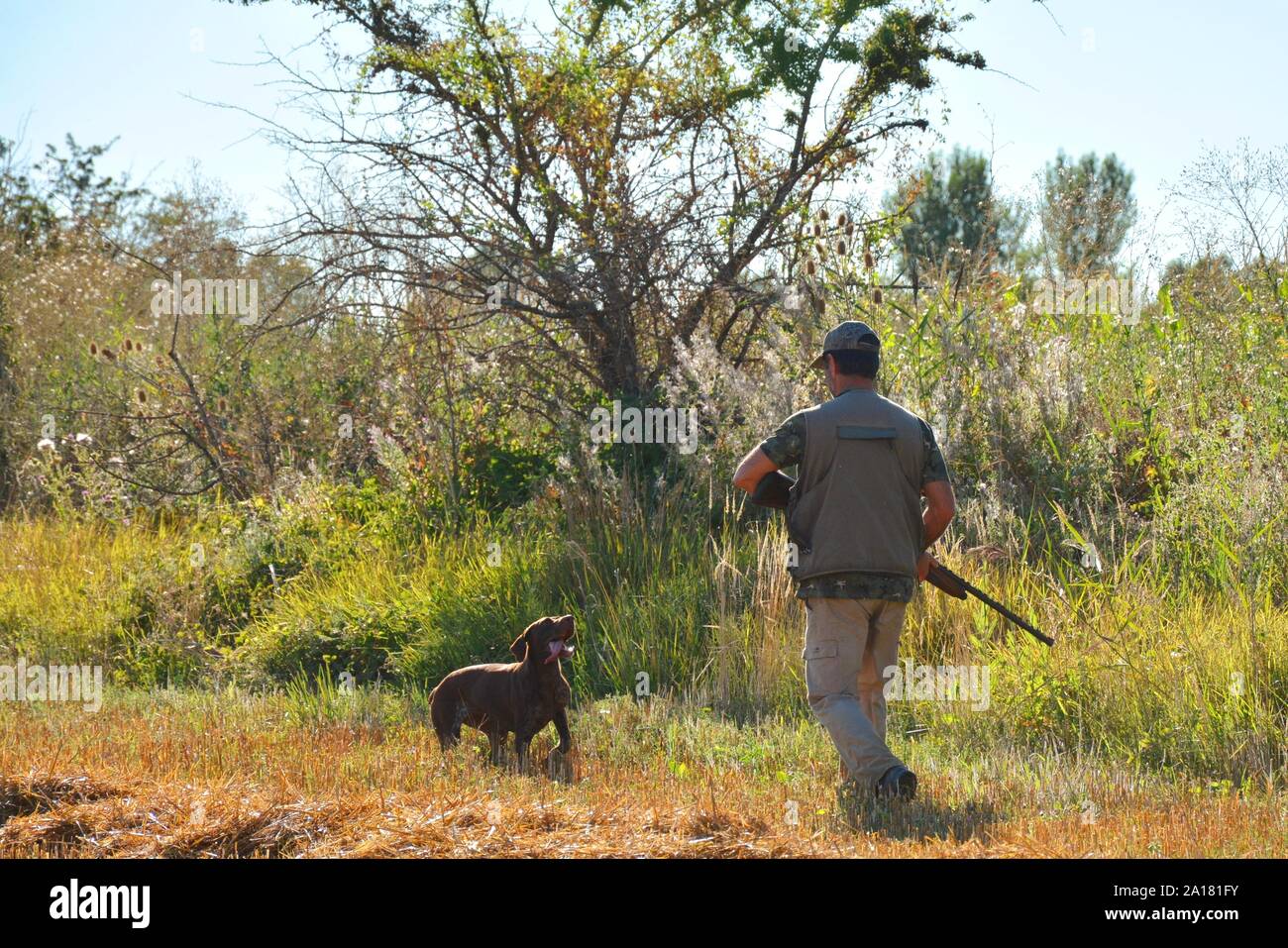 Cacciatore con cane Foto Stock