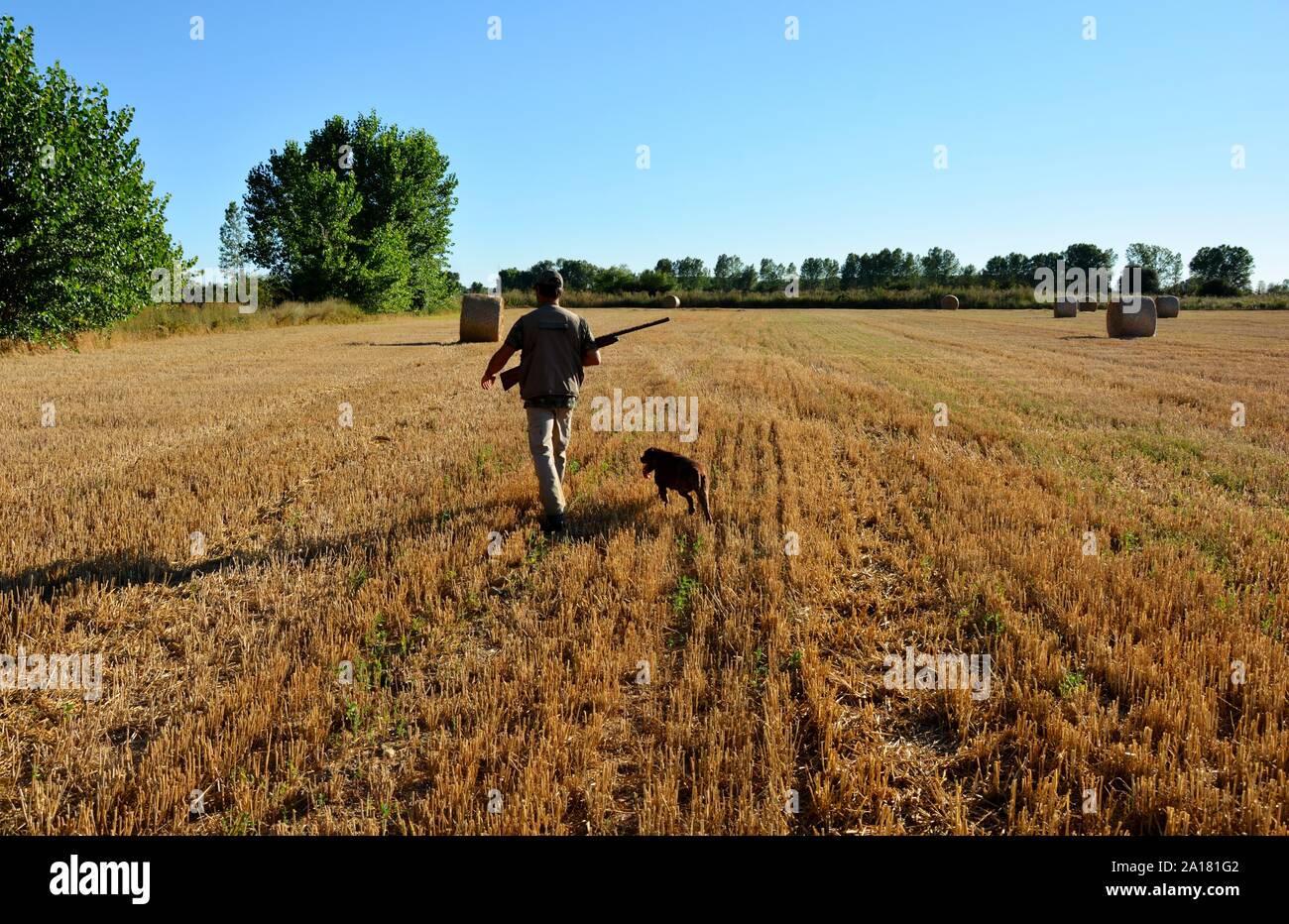 Cacciatore con cane Foto Stock