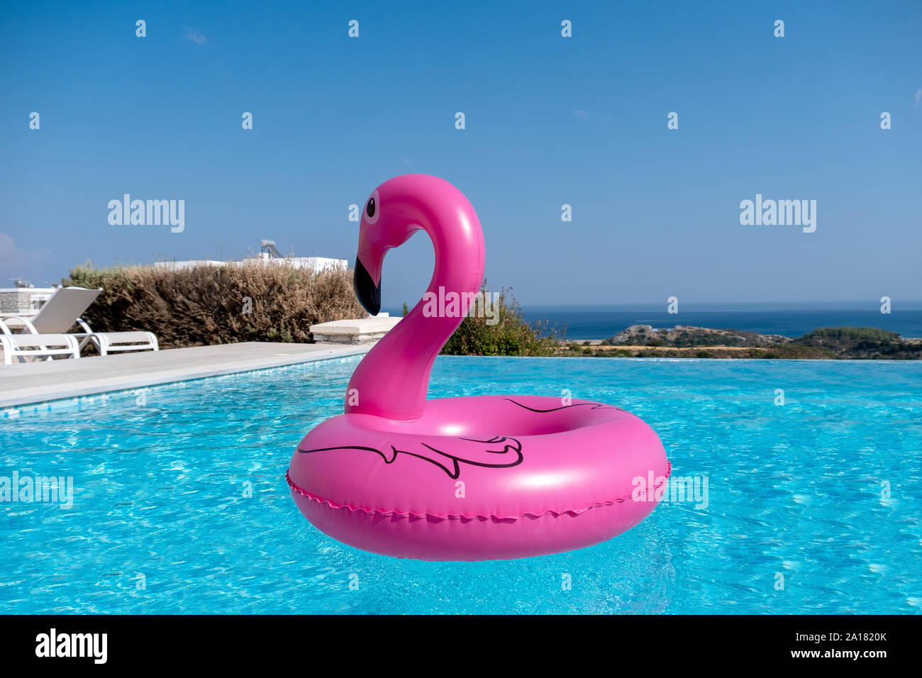 Fenicottero rosa gommone in una piscina Foto stock - Alamy