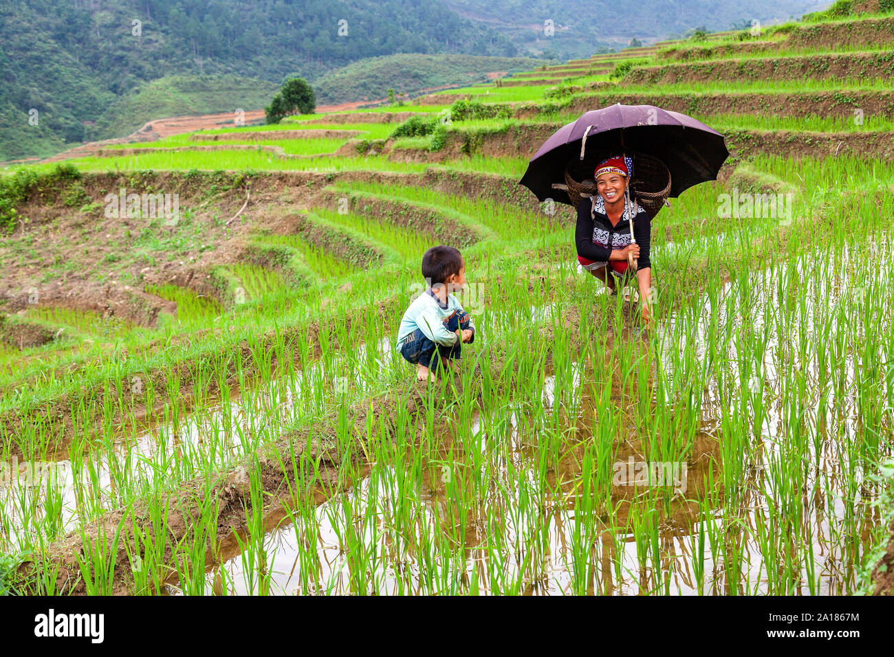 La madre e il figlio, in un campo di riso. Mu Cang area Chai, Yen Bai provincia, nella parte nord-occidentale del Vietnam. Foto Stock