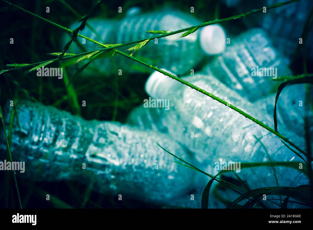 Concetto di ecologia. Le bottiglie di plastica nell'erba verde. Il problema dell'ecologia, inquinamento ambientale. Protezione della natura. Foto Stock