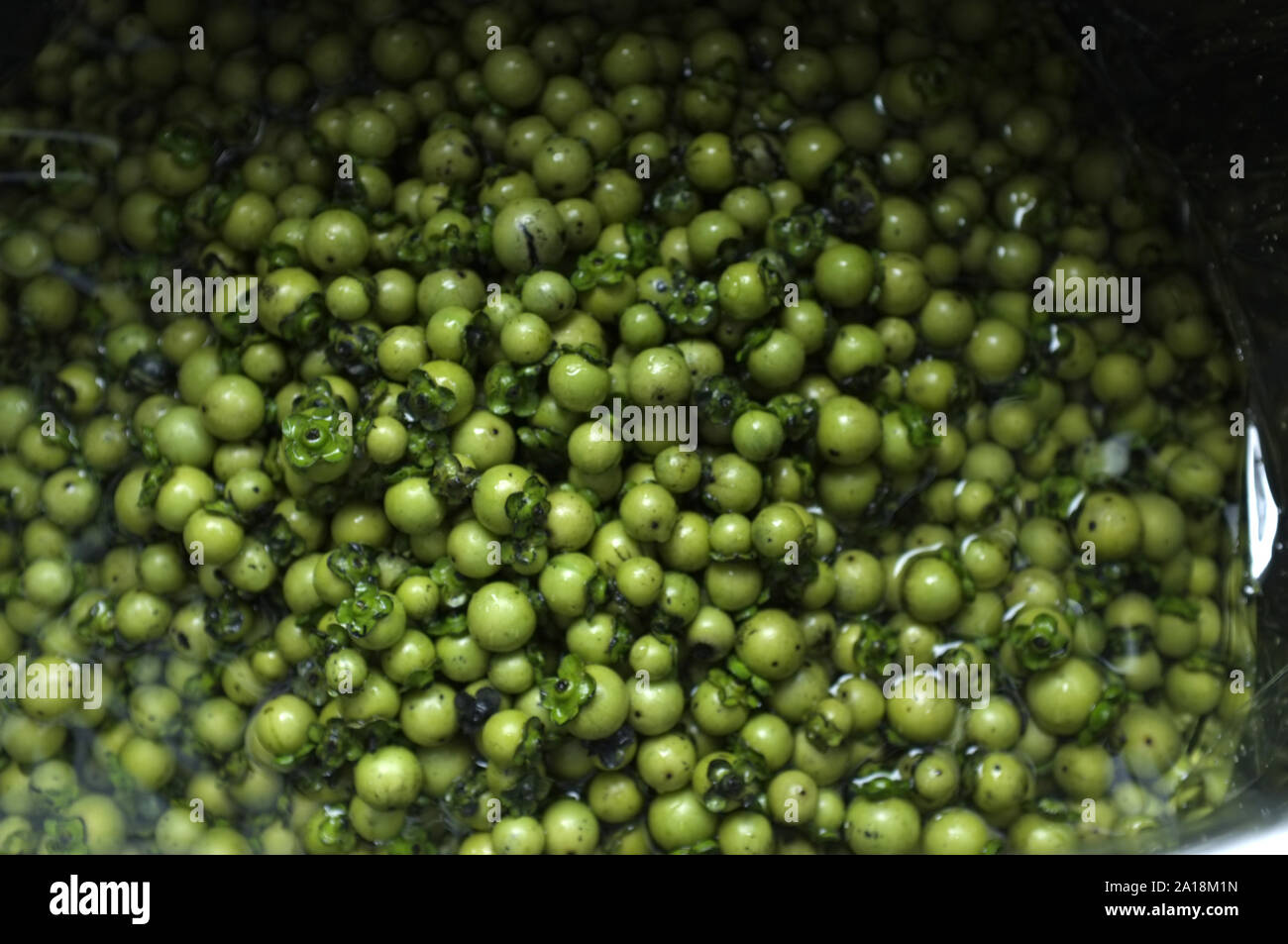 Diospyros freschi frutti mollis sfondo , erbe tailandese e coloranti naturali per tessuto Foto Stock