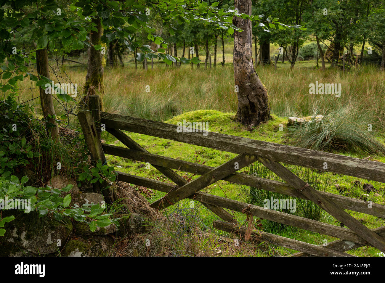 Antico cancello di legno a Postbridge, Dartmoor Devon, Inghilterra Foto Stock