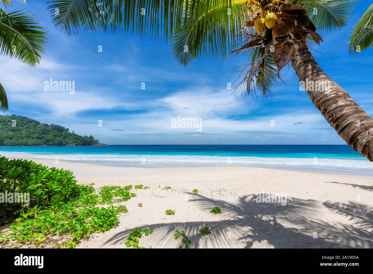 Esotica spiaggia con sabbia bianca e mare turchese sulla Giamaica Paradise Island. Foto Stock